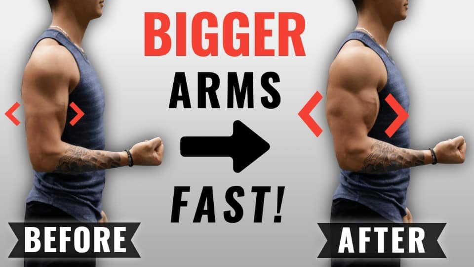 The Science of Building Bigger Biceps: Your Guide to Impressive Arms